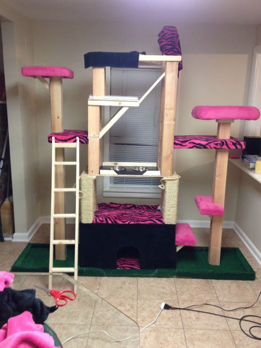 These Cats Are Living The Dream In This Tower (15 pics)