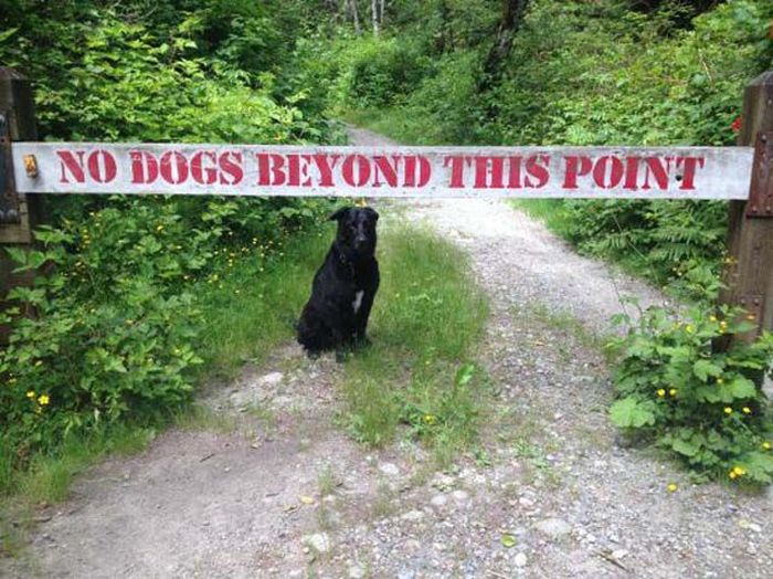 I Do What I Want. Part 38 (42 pics)