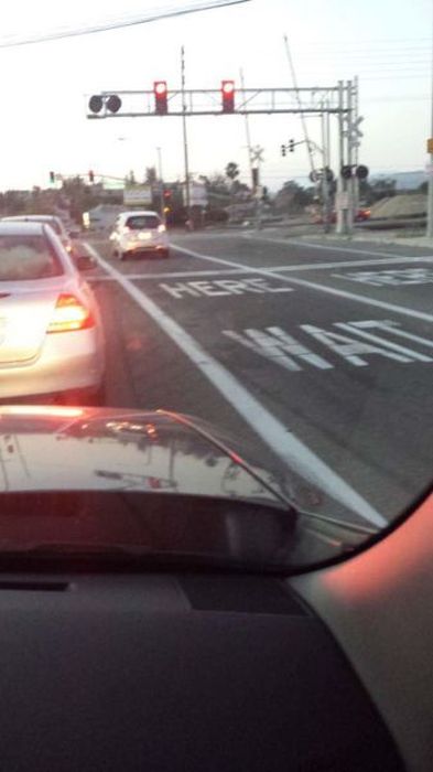 I Do What I Want. Part 38 (42 pics)