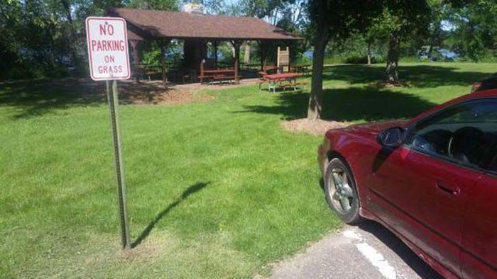 I Do What I Want. Part 38 (42 pics)