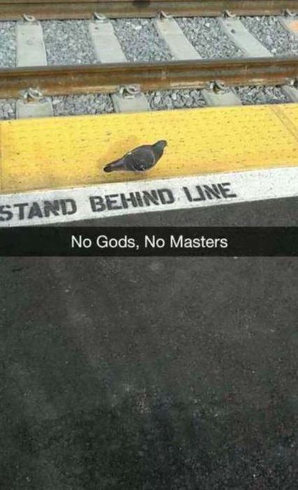 I Do What I Want. Part 38 (42 pics)