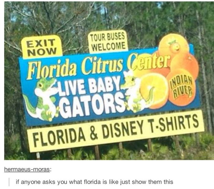 Acid Picdump (129 pics)