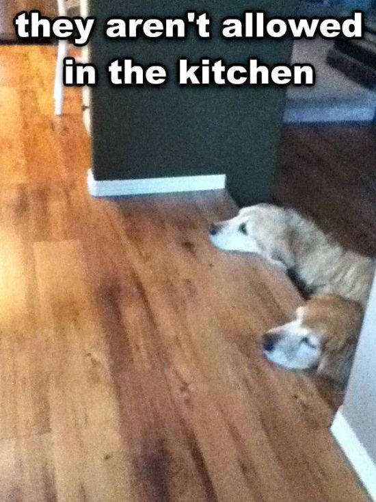 Acid Picdump (129 pics)