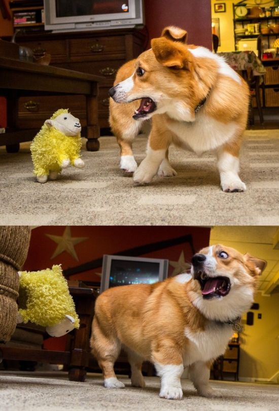 Acid Picdump (129 pics)
