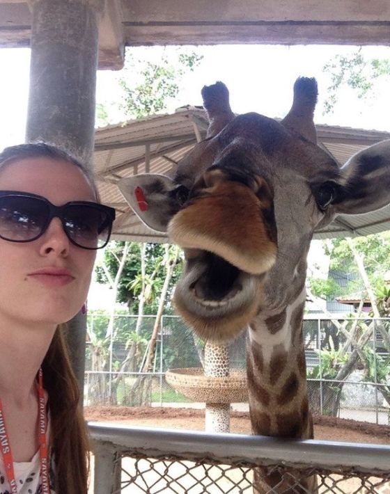 Acid Picdump (129 pics)