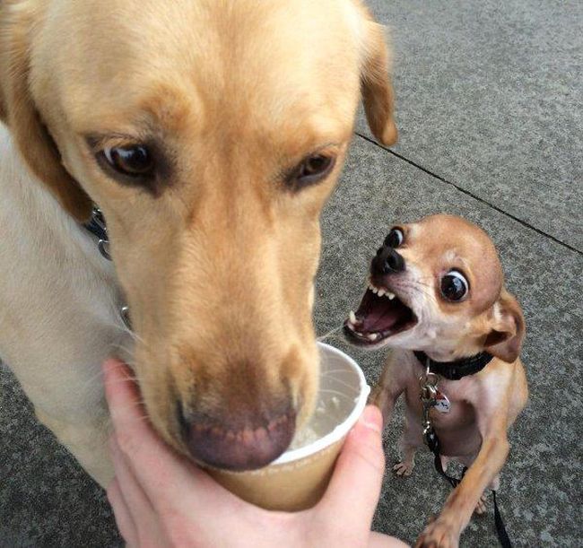 Acid Picdump (129 pics)