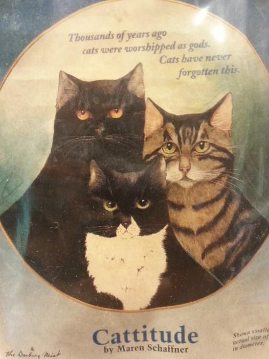 Acid Picdump (129 pics)