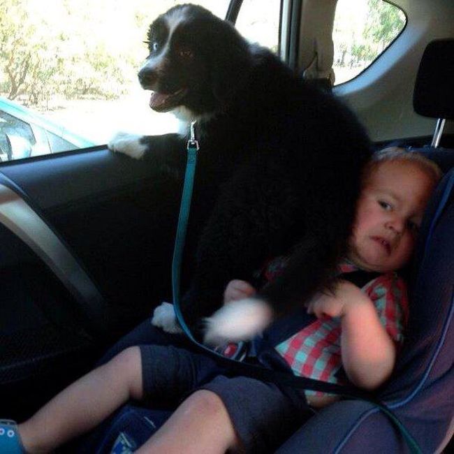 Acid Picdump (129 pics)