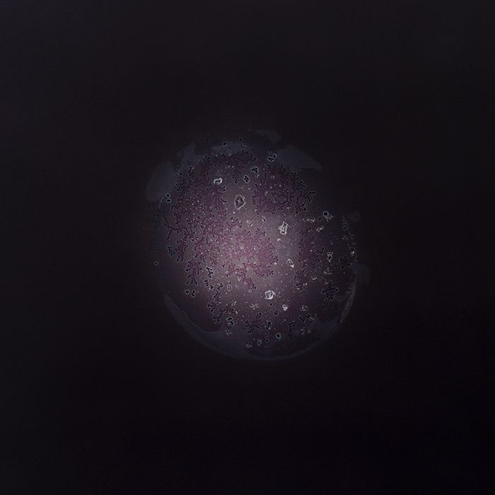 Drugs Look A Lot Different Under A Microscope (16 pics)