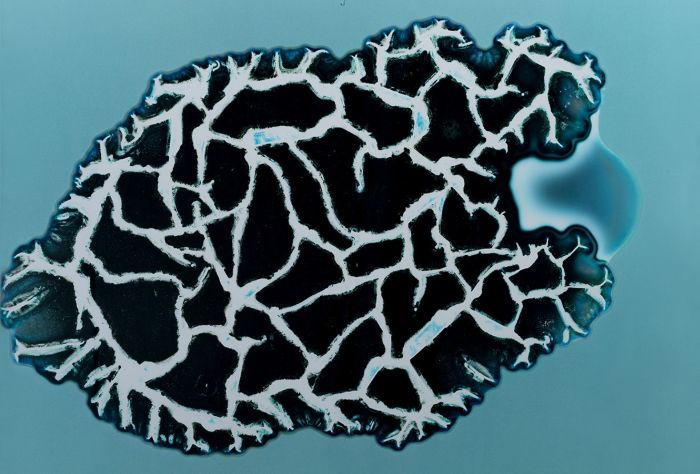 Drugs Look A Lot Different Under A Microscope (16 pics)