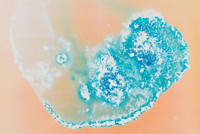 Drugs Look A Lot Different Under A Microscope (16 pics)