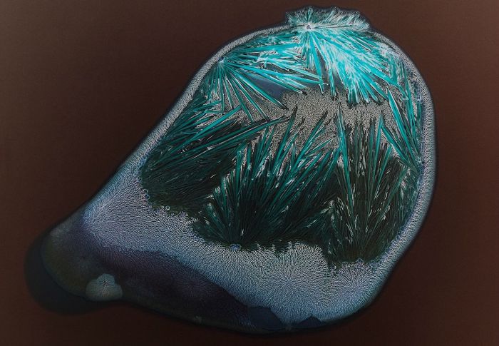 Drugs Look A Lot Different Under A Microscope (16 pics)