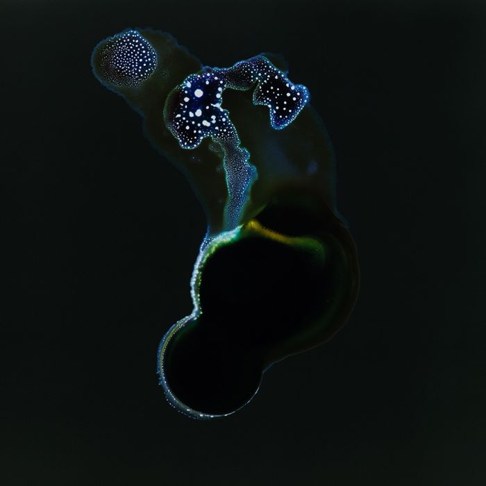 Drugs Look A Lot Different Under A Microscope (16 pics)
