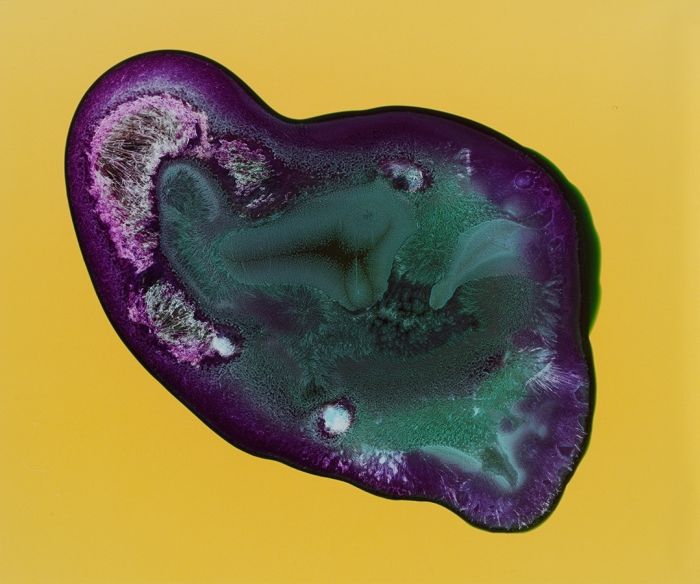 Drugs Look A Lot Different Under A Microscope (16 pics)