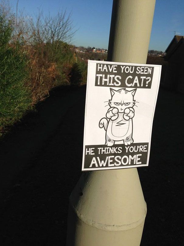 This Train Ride Comes With Some Motivational Notes (15 pics)