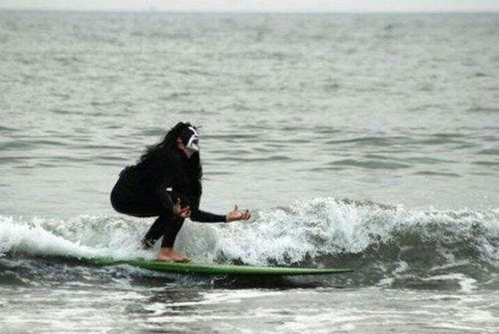 Acid Picdump (129 pics)