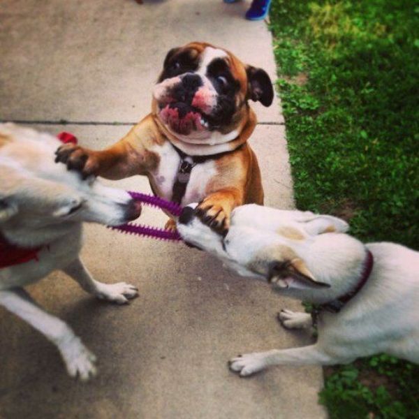Acid Picdump (129 pics)