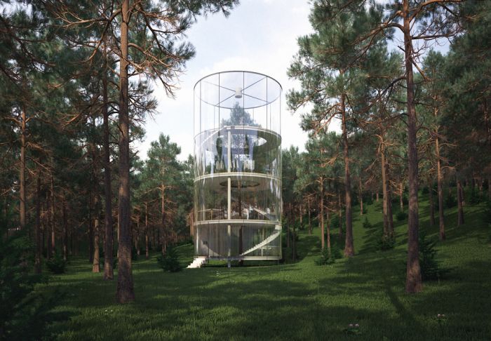 The Most Amazing Glass Treehouse On The Planet (6 pics)
