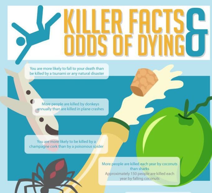 Insane Facts About Death And Dying (infographic)