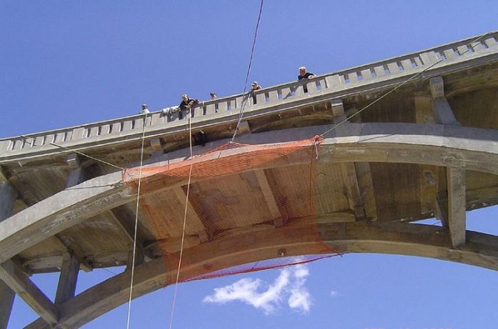 Bear Gets Rescued From A Bridge (6 pics)