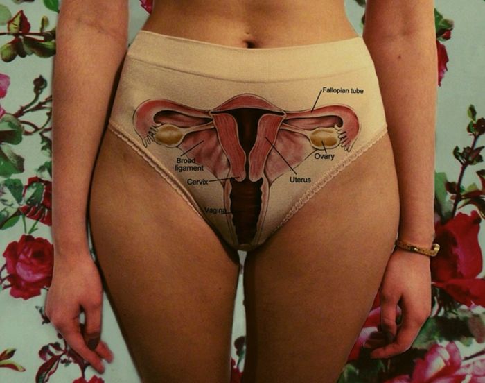 These Vagina Panties Show You What's Underneath (3 pics)