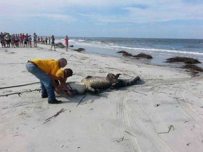Oh Sh*t. Part 11 (38 pics)