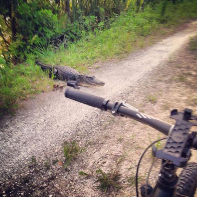 Oh Sh*t. Part 11 (38 pics)