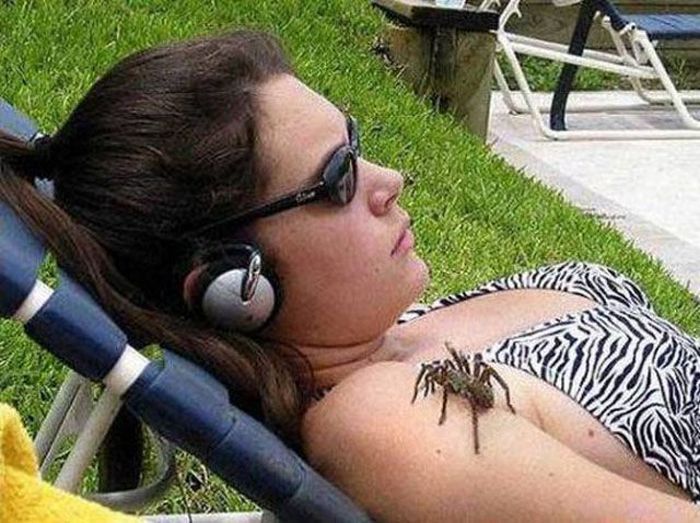 Oh Sh*t. Part 11 (38 pics)
