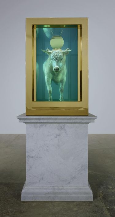 Damien Hirst Turns Taxidermy Into Art (44 pics)