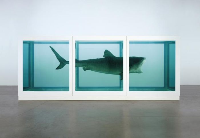 Damien Hirst Turns Taxidermy Into Art (44 pics)