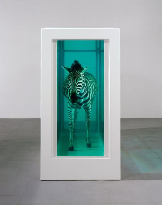 Damien Hirst Turns Taxidermy Into Art (44 pics)