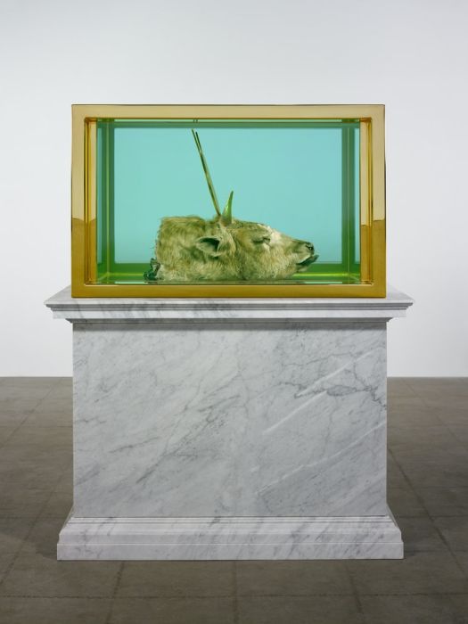 Damien Hirst Turns Taxidermy Into Art (44 pics)