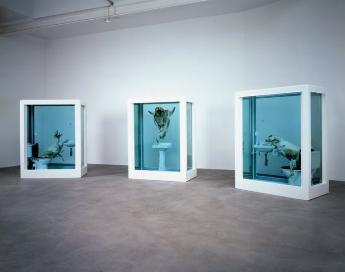 Damien Hirst Turns Taxidermy Into Art (44 pics)