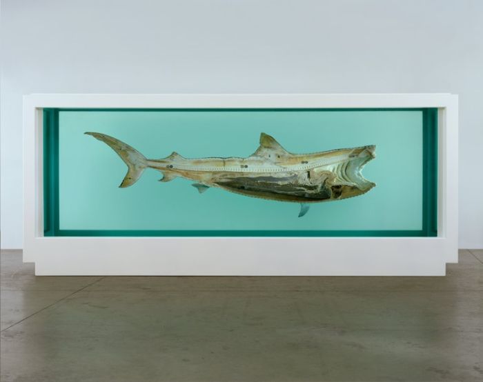 Damien Hirst Turns Taxidermy Into Art (44 pics)