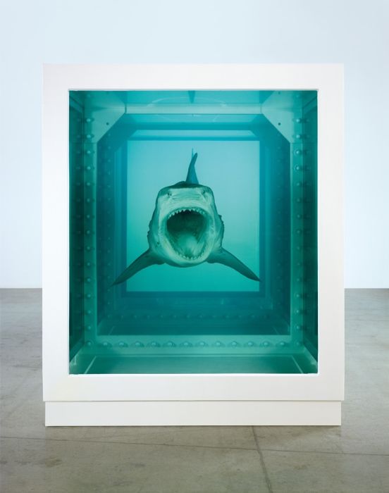 Damien Hirst Turns Taxidermy Into Art (44 pics)