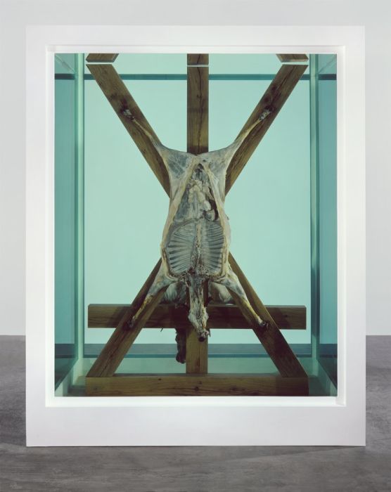 Damien Hirst Turns Taxidermy Into Art (44 pics)