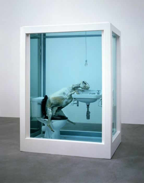 Damien Hirst Turns Taxidermy Into Art (44 pics)