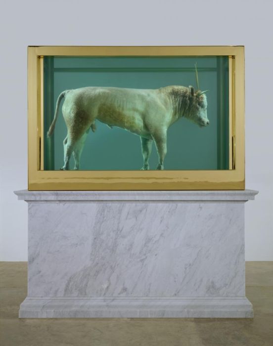 Damien Hirst Turns Taxidermy Into Art (44 pics)