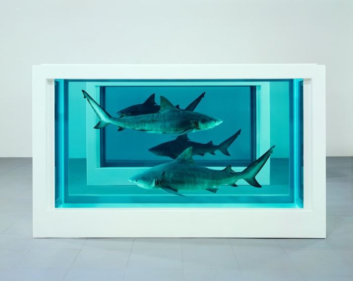 Damien Hirst Turns Taxidermy Into Art (44 pics)