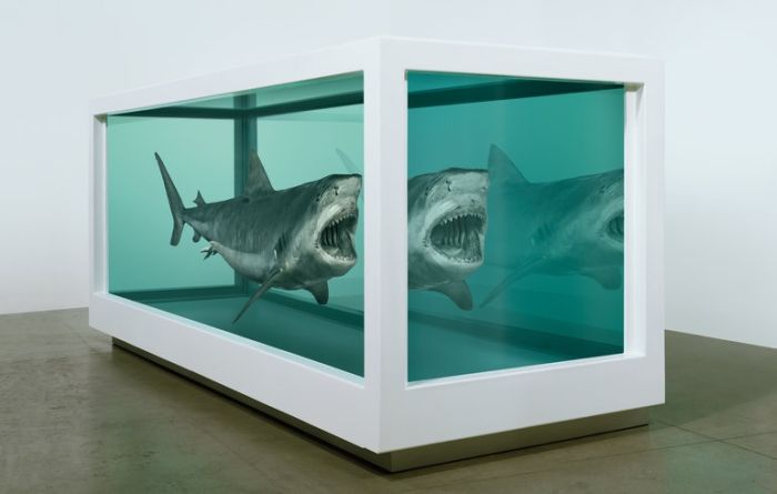 Damien Hirst Turns Taxidermy Into Art (44 pics)