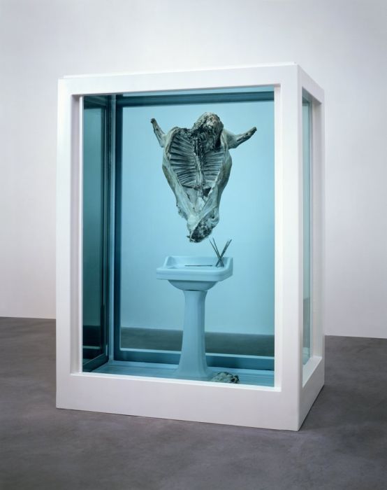 Damien Hirst Turns Taxidermy Into Art (44 pics)