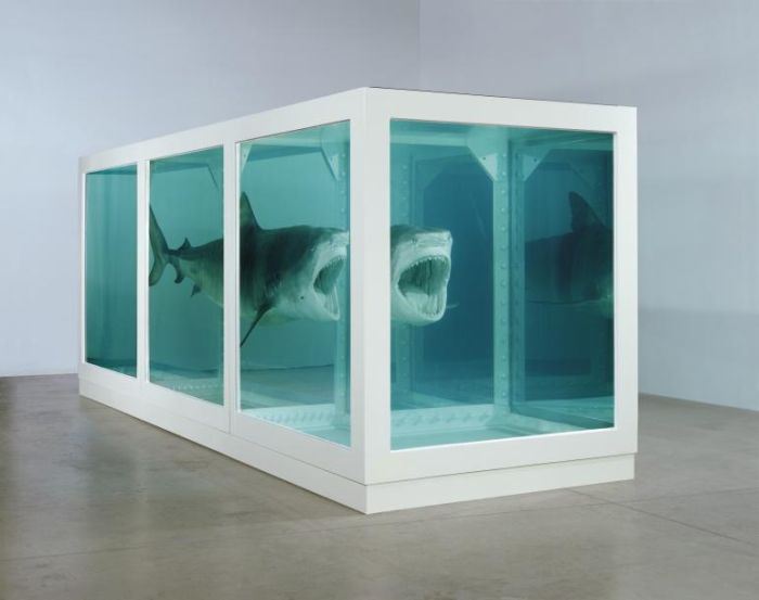 Damien Hirst Turns Taxidermy Into Art (44 pics)