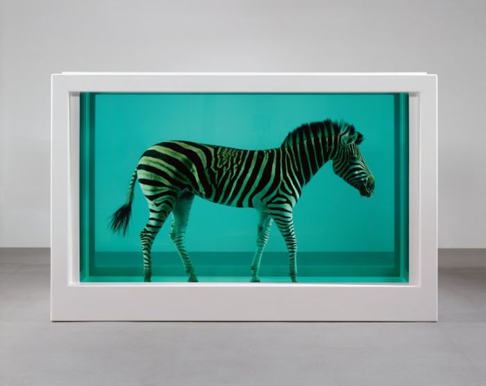 Damien Hirst Turns Taxidermy Into Art (44 pics)