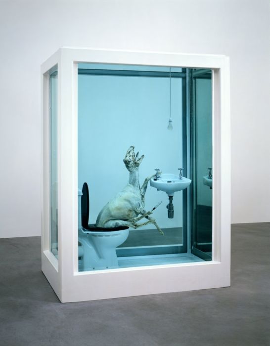 Damien Hirst Turns Taxidermy Into Art (44 pics)