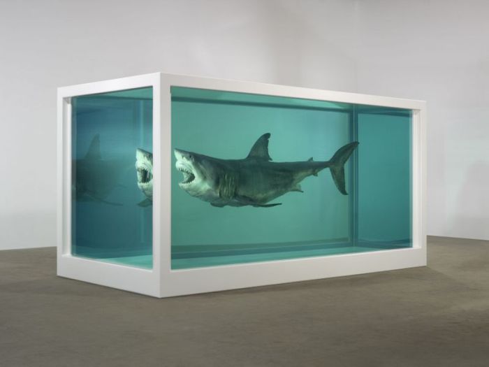 Damien Hirst Turns Taxidermy Into Art (44 pics)