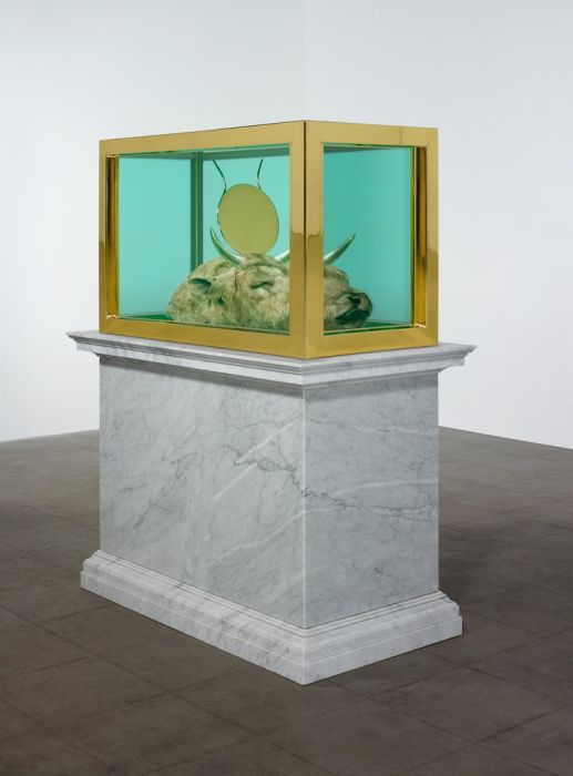 Damien Hirst Turns Taxidermy Into Art (44 pics)