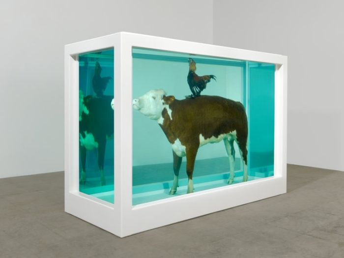 Damien Hirst Turns Taxidermy Into Art (44 pics)