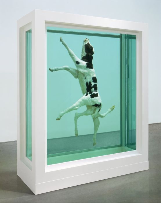 Damien Hirst Turns Taxidermy Into Art (44 pics)