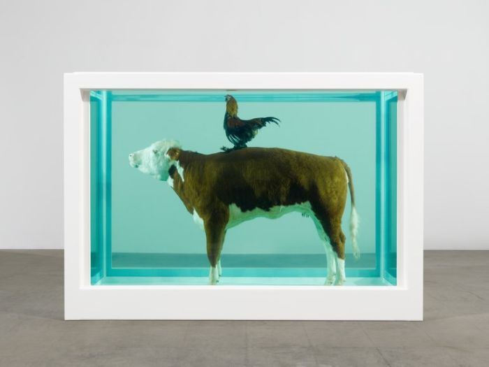 Damien Hirst Turns Taxidermy Into Art (44 pics)