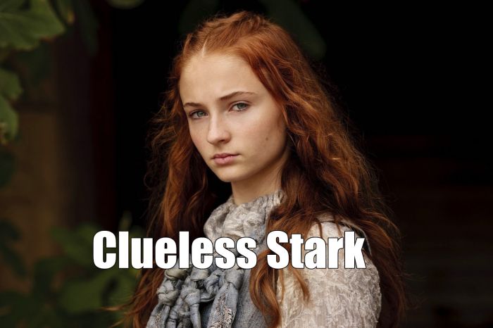 Dad Tries To Name Game Of Thrones Characters (37 pics)
